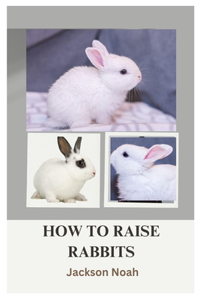 How to Raise Rabbits: From Start to Finish