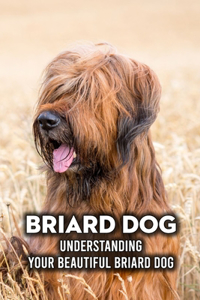 Briard Dog