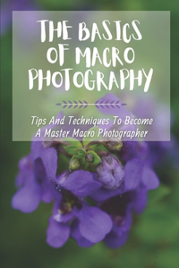 Basics Of Macro Photography