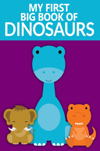 My First Big Book Of Dinosaurs