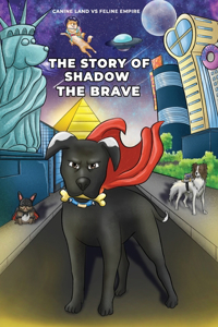 Story of Shadow the Brave