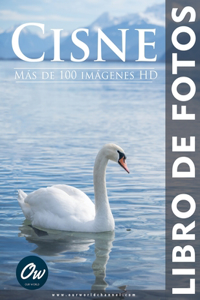 Cisne