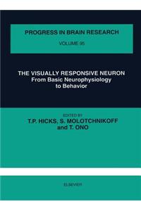 The Visually Responsive Neuron