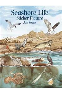 Seashore Life Sticker Picture