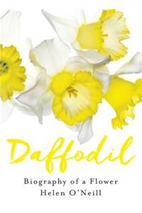 Daffodil