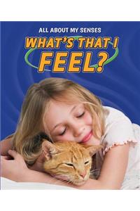 What's That I Feel?
