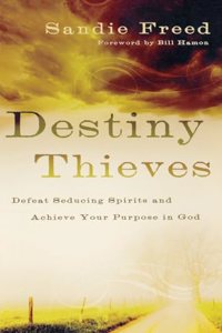 Destiny Thieves