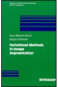 Variational Methods in Image Segmentation