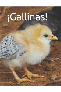 ¡Gallinas!