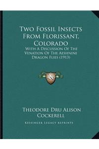 Two Fossil Insects From Florissant, Colorado