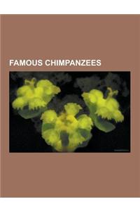 Famous Chimpanzees: Ham the Chimp, Nim Chimpsky, Kasakela Chimpanzee Community, Michael Jackson and Bubbles, Travis, Washoe, Cheeta, Jiggs