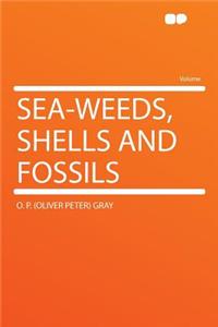 Sea-Weeds, Shells and Fossils