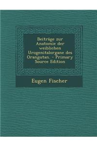 Beitrage Zur Anatomie Der Weiblichen Urogenitalorgane Des Orangutan.