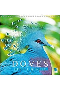 Doves Gentle Beauty 2017