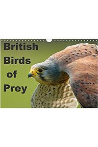 British Birds of Prey 2017