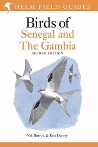 Field Guide to Birds of Senegal and the Gambia