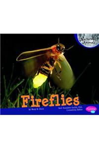 Fireflies