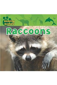 Raccoons