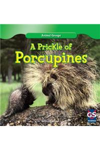 Prickle of Porcupines