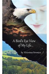 Bird's Eye View of My Life