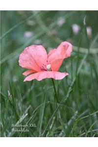 Notizbuch XXL Mohnblüte