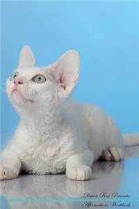 Devon Rex Affirmations Workbook Devon Rex Presents