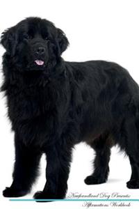 Newfoundland Dog Affirmations Workbook Newfoundland Dog Presents: Positive and Loving Affirmations Workbook. Includes: Mentoring Questions, Guidance, Supporting You.