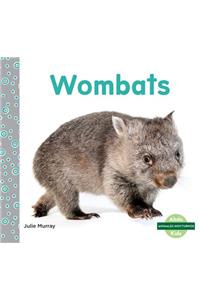 Wombats (Wombats)