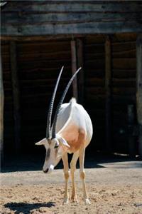 Sable Antelope Journal