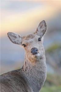 The Sika Deer Doe Journal
