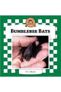 Bumblebee Bats