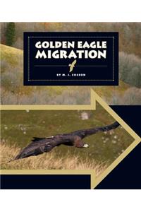 Golden Eagle Migration