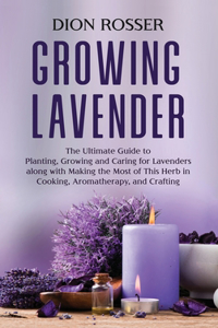 Growing Lavender