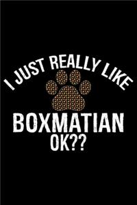 I Just Really Like Boxmatian Ok?