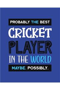 Probably the Best Cricket Player In the World. Maybe. Possibly.