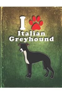 Italian Greyhound