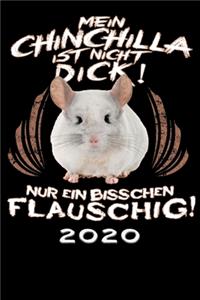 Terminkalender 2020