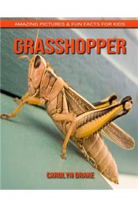 Grasshopper