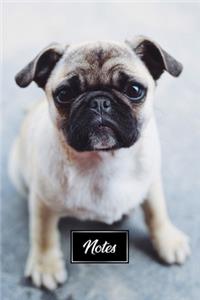Pug Dog Pup Puppy Doggie Notebook Bullet Journal Diary Composition Book Notepad - Cute Baby Look