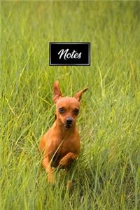 Chihuahua Dog Pup Puppy Doggie Notebook Bullet Journal Diary Composition Book Notepad - Running on Grass