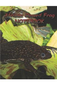 African Clawed Frog NOTEBOOK