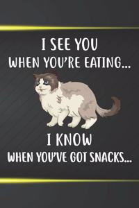 I See You When You're Eating I Know When You've Got Snacks Notebook Journal