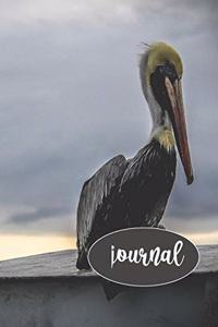 Pelican Journal