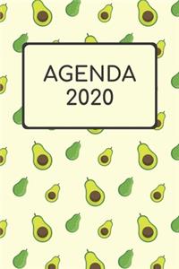 Agenda 2020