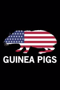 Guinea Pigs