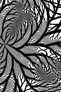 Fractal Notebook