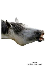 Horse Bullet Journal