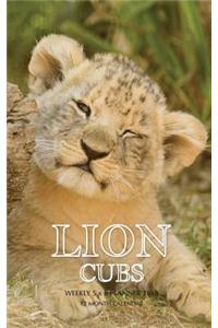 Lion Cubs Weekly 5 x 8 Planner 2019