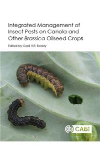 Integrated Management of Insect Pests on Canola and Other Brassica Oilseed Crops