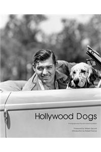 Hollywood Dogs